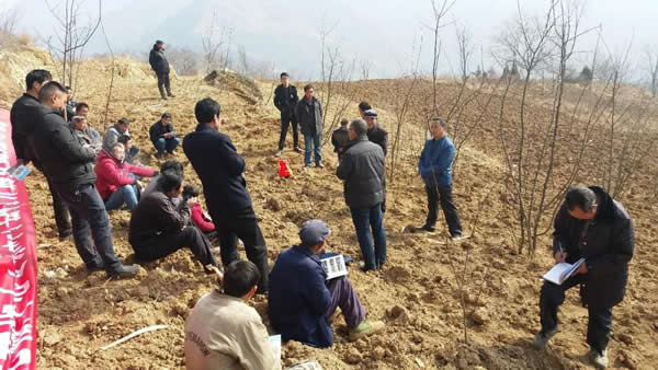 隴運集團公司積極開展幫扶村冬季花椒種植技能培訓(xùn)工作