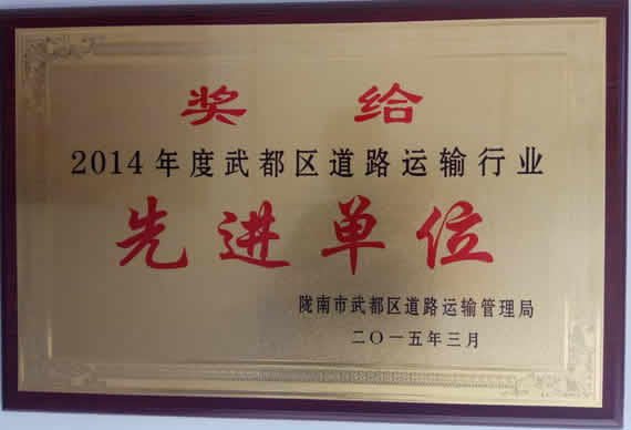 2014年武都區(qū)道路運輸行業(yè)先進(jìn)